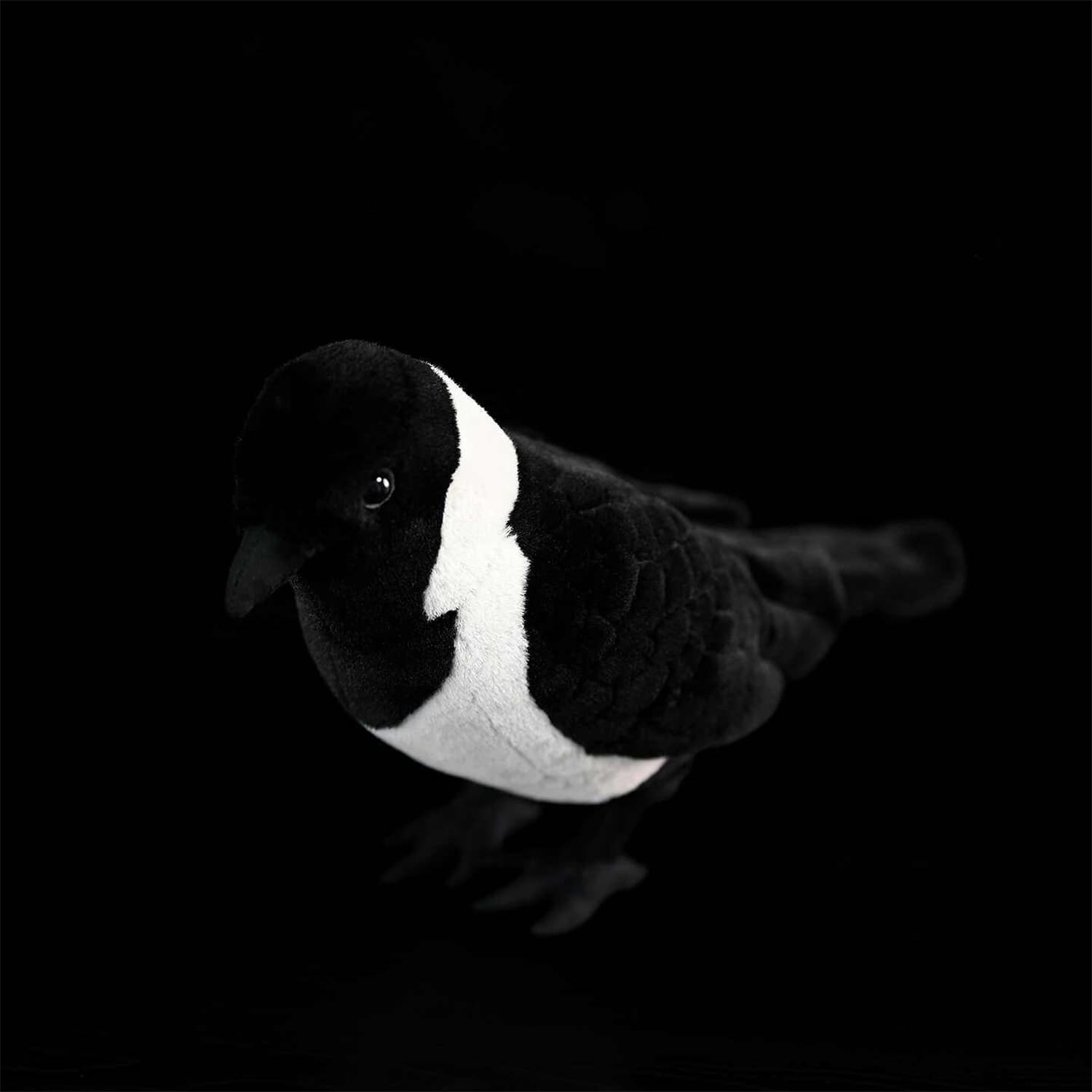 Da Wu Li Western Jackdaw Plush Toy